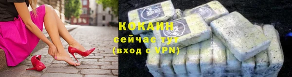 мдпв Елабуга
