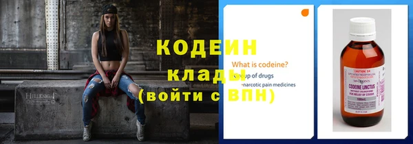 мдпв Елабуга