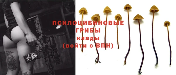 мдпв Елабуга