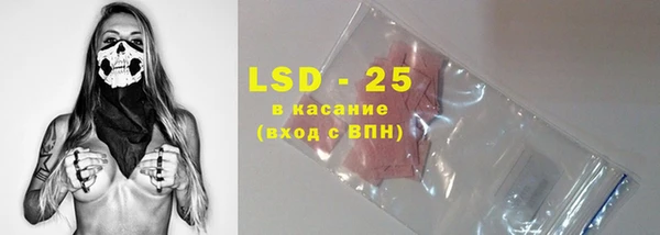мдпв Елабуга