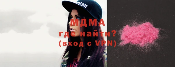мдпв Елабуга
