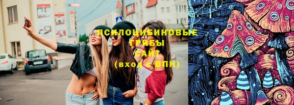 мдпв Елабуга