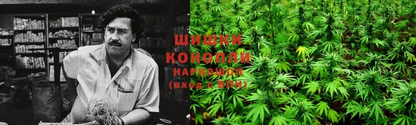 мдпв Елабуга