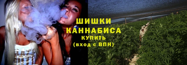 мдпв Елабуга