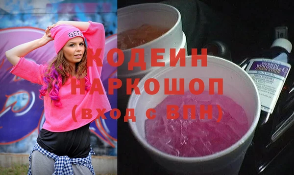 мдпв Елабуга