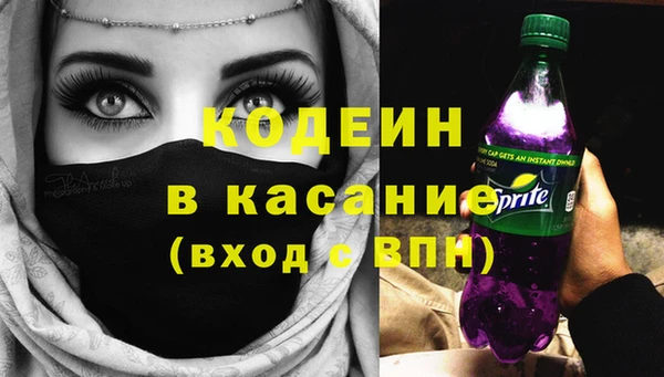 мдпв Елабуга