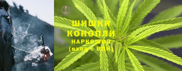 трава Елизово