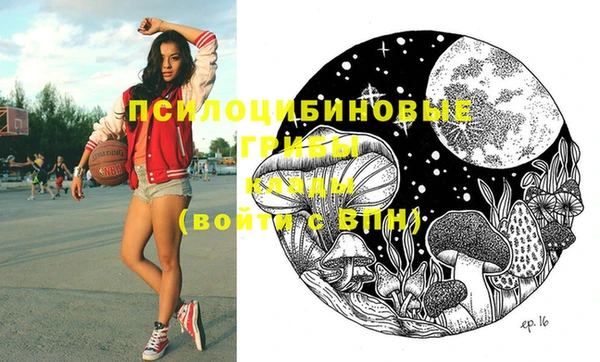мдпв Елабуга
