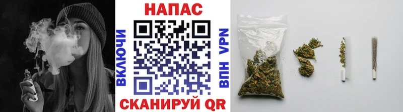 Конопля индика  Берёзовка 